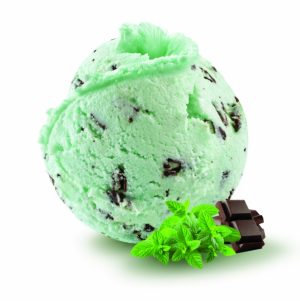 Mint Chocolate Chip 6L