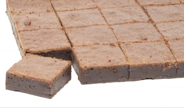 Classic Brownie
